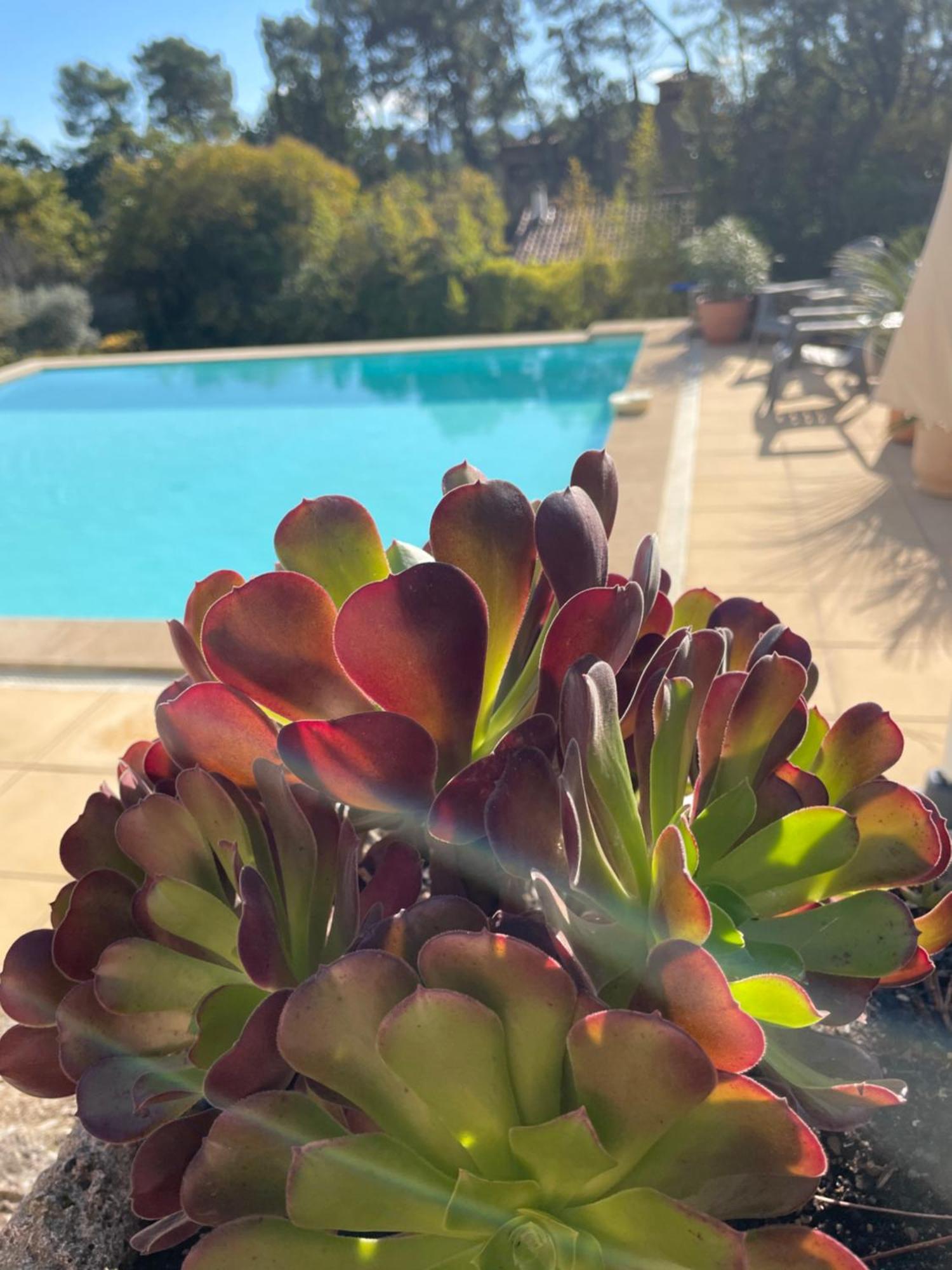 O Coeur Des Ocres Apartment Roussillon en Isere Екстериор снимка