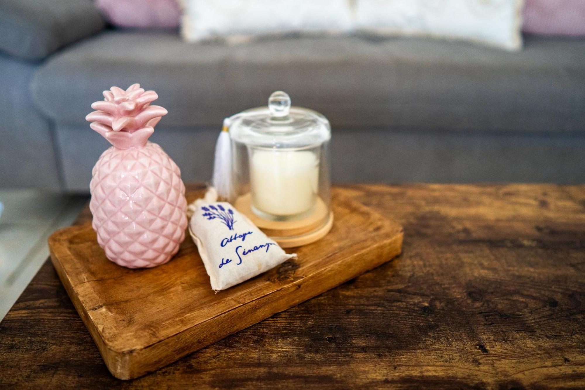 O Coeur Des Ocres Apartment Roussillon en Isere Екстериор снимка