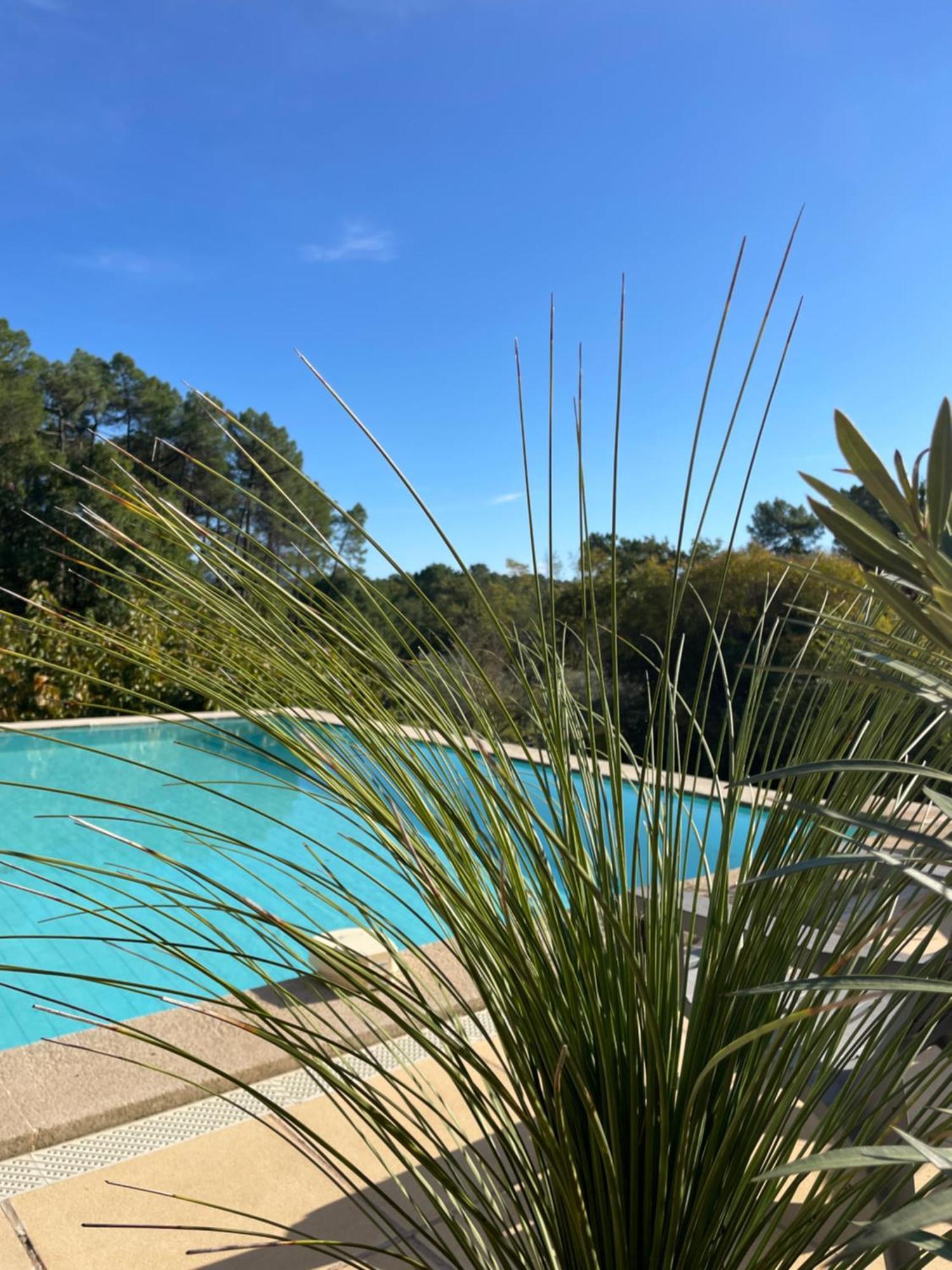 O Coeur Des Ocres Apartment Roussillon en Isere Екстериор снимка