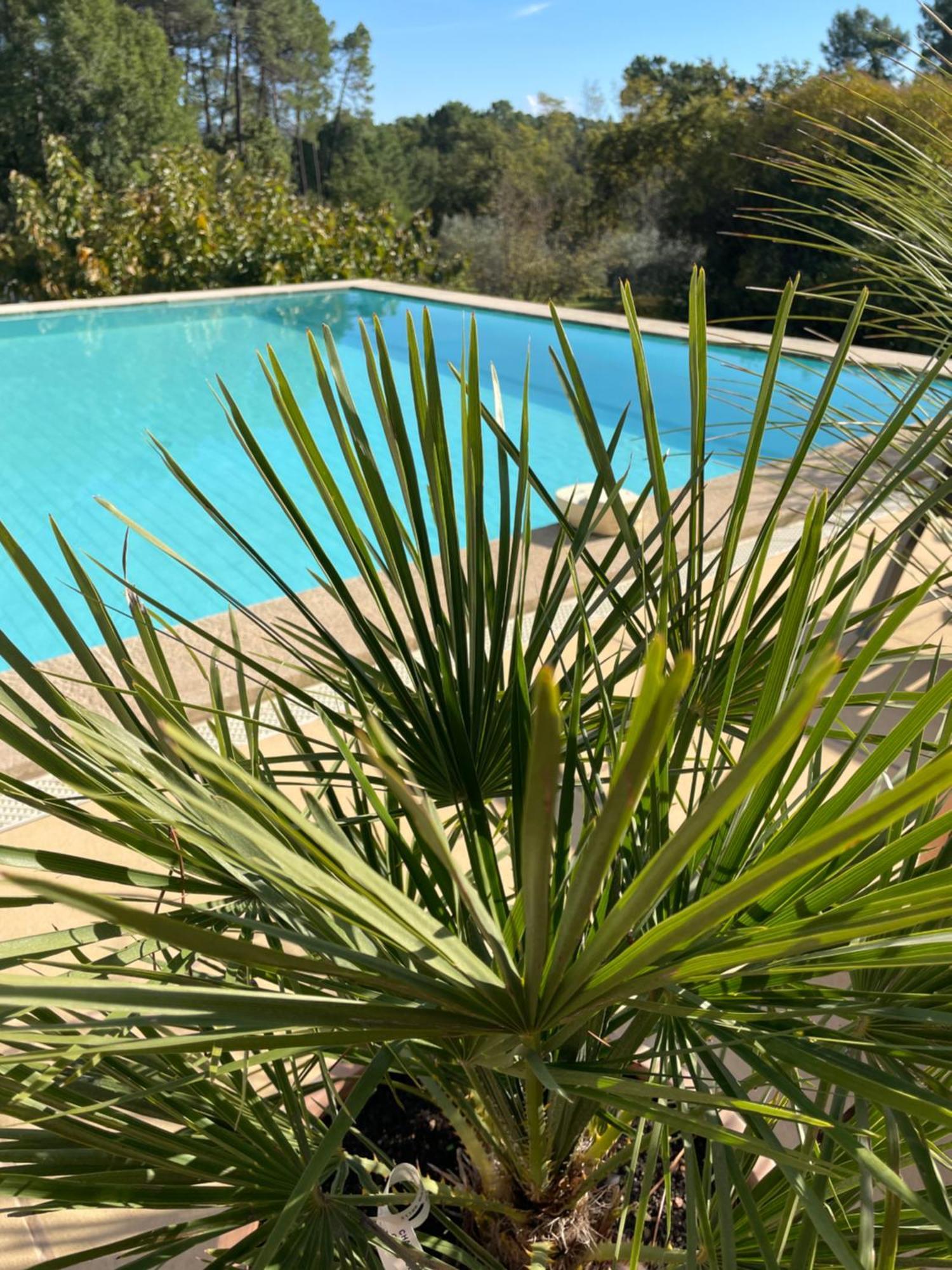 O Coeur Des Ocres Apartment Roussillon en Isere Екстериор снимка